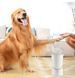 Лапомийка Pet Foot Wash 827-6 Автоматичний очищувач собачих лап з юсб USB 00014750 фото 2