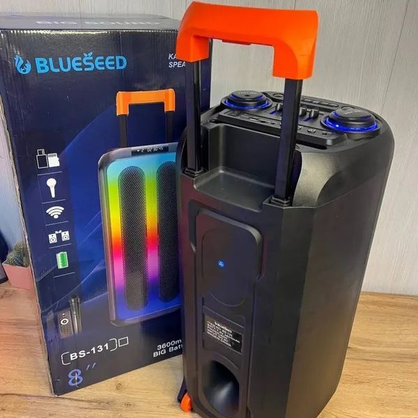Колонка Bluetooth Wireless Speaker TTD-2821 00017834 фото