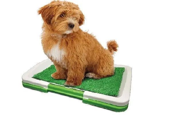 Туалет для собак Puppy Potty Pad MH-872 00021956 фото