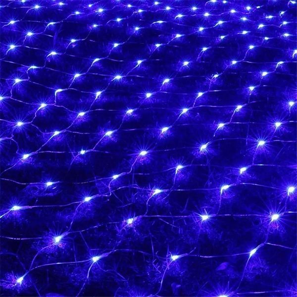 Гірлянда світлодіодна Сітка 200 LED 3х2м 00024724 фото