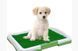 Туалет для собак Puppy Potty Pad MH-872 00021956 фото 2