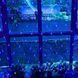Гірлянда світлодіодна Сітка 200 LED 3х2м 00024724 фото 5
