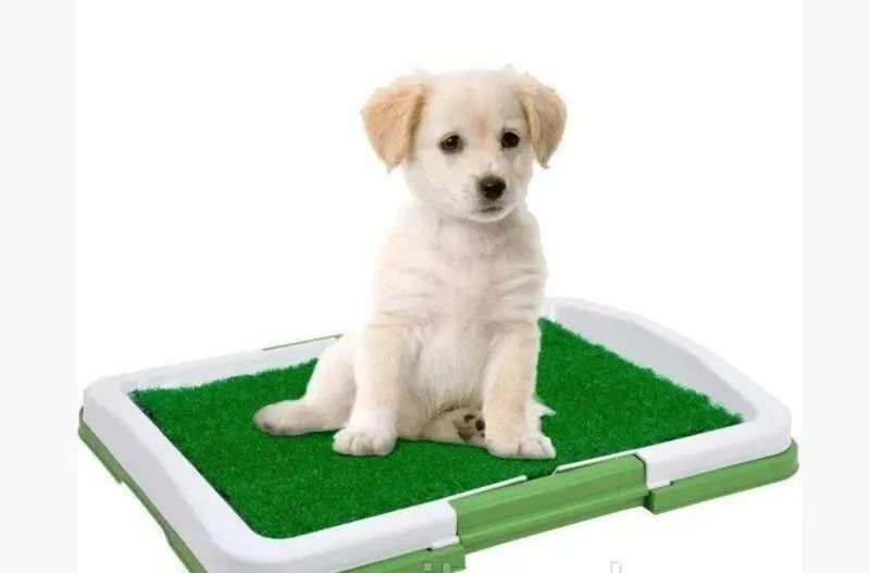 Туалет для собак Puppy Potty Pad MH-872 00021956 фото