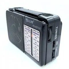 Радиоприемник аккумуляторный Golon RX-607 AC Black 00017088 фото