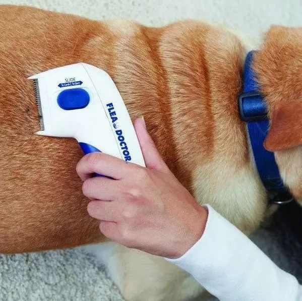 Электрическая расческа Flea Doctor от блох для собак и котов 00021979 фото