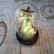 Ночник новогодняя елка в стеклянной колбе gold star 00024798 фото 3