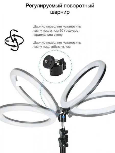 Кільцева LED лампа YQ-320B (30см) з утримувачем телефону для бьюті селфі зйомки Ring Light 00023747 фото