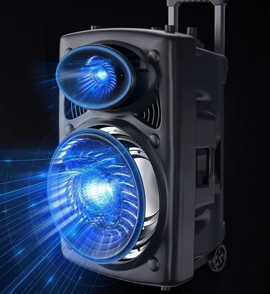 Портативна колонка Su-Kam BT 150D + 2 мікрофони 12v\220v 00017829 фото