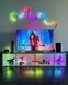 Умная гибкая LED Neon RGB лента-шланг 5 метров от USB управление режимами с телефона,Bluetooth приложение,пульт 00024734 фото 2