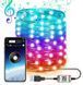 Новорічна розумна світлодіодна гірлянда encora xmas lights, 100led, 10м з керуванням через bluetooth 00024820 фото 1