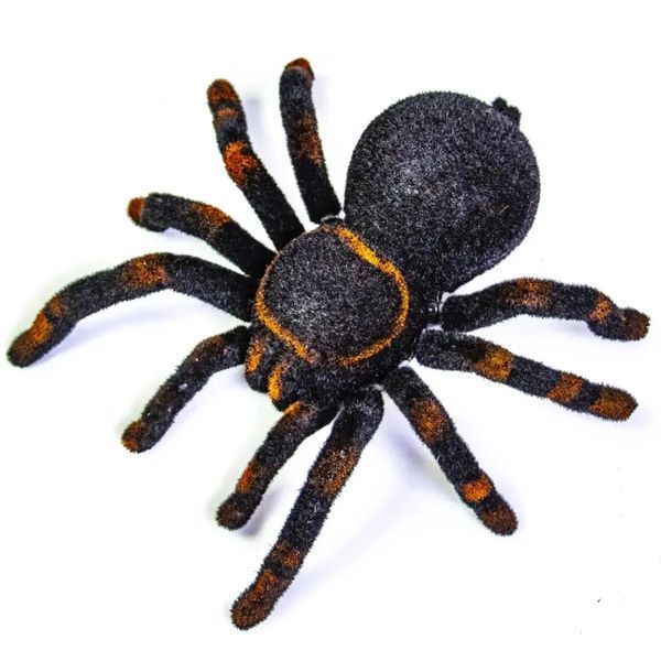 Павук Тарантул на радіоуправлінні з очима 30 см Cute Sunlight 871 Tarantula 00016413 фото