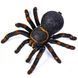 Павук Тарантул на радіоуправлінні з очима 30 см Cute Sunlight 871 Tarantula 00016413 фото 4