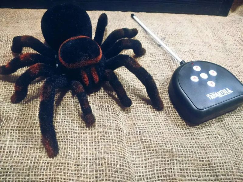 Павук Тарантул на радіоуправлінні з очима 30 см Cute Sunlight 871 Tarantula 00016413 фото