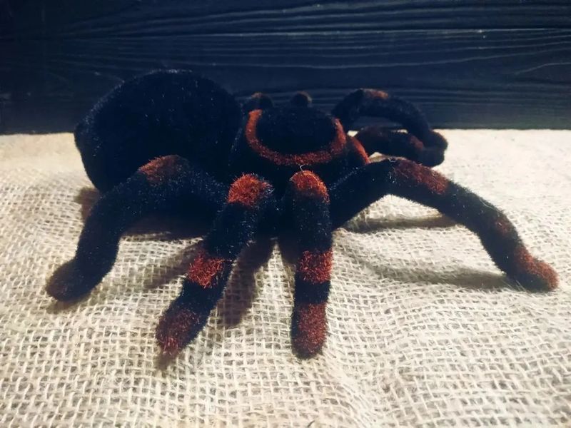 Павук Тарантул на радіоуправлінні з очима 30 см Cute Sunlight 871 Tarantula 00016413 фото