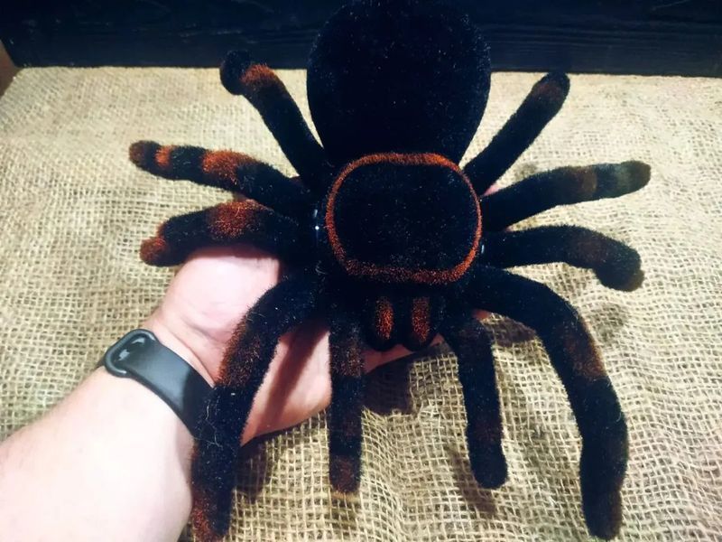 Павук Тарантул на радіоуправлінні з очима 30 см Cute Sunlight 871 Tarantula 00016413 фото