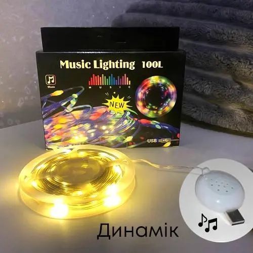 Гірлянда музична з динаміком USB 10 м 00024707 фото