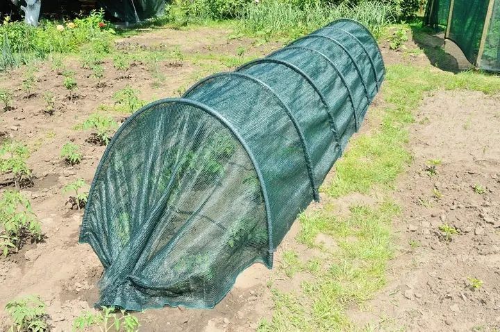 Сонцезахисна сітка для теплиці 3 метри Shadow 100 х 80, затінення 85% 00012968 фото