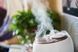 Ультразвуковий міні зволожувач повітря USB Humidifier з підсвічуванням 00018612 фото 9