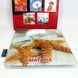 Ваги для підлоги MATARIX MX-452 180 кг, Ваги для вимірювання маси тіла, Електронні ваги зірки 00013423 фото 4