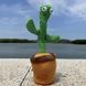 Танцюючий кактус співаючий 120 пісень з підсвічуванням Dancing Cactus TikTok іграшка Повторюшка кактус 00015819 фото 37