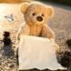 Інтерактивна іграшка Ведмедик Пікабу Peekaboo Bear 00015865 фото 3