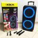 Акустична переносна колонка ZXX-7575 300 Вт акумуляторна з мікрофонами 80х39х33 см 00017464 фото 12