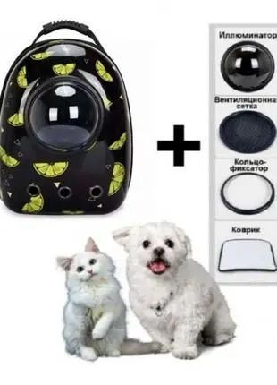 Космічний рюкзак для перенесення свійських тварин CosmoPet з ілюмінатором 00021900 фото