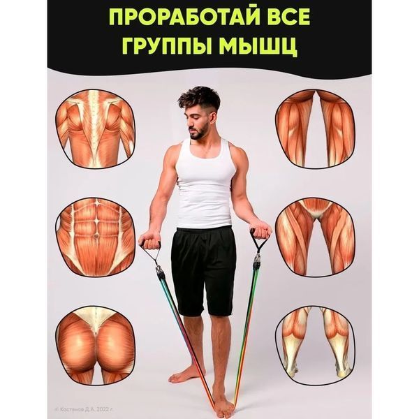 Еспандер гума для зарядок exercise pipe, еспандер гумовий джгут вправи, Фітнес гумки 5 в 1 00014301 фото
