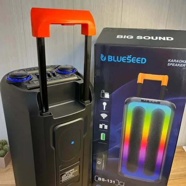Колонка Bluetooth Wireless Speaker TTD-2820 00017849 фото