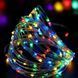 Новогодние гирлянды медная проволочная лампа 100LED 10М БП 5В 220V (СП) RGB RD-7110 00024732 фото 3