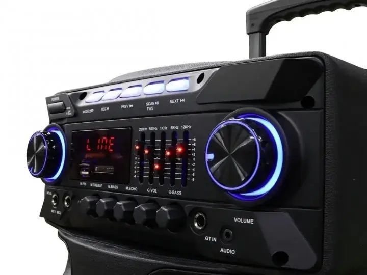 Колонка з акумулятором ZXX-9292 / 2x10"/ 2x125W/ 2 радіомікрофони / TMG ORIGINAL 00017851 фото