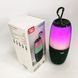 Портативная колонка TG644 5W с RGB подсветкой и ремешком, Беспроводная колонка мощная. Цвет: зеленый 00017209 фото 4