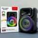 Беспроводная караоке колонка с микрофоном и RGB-подсветкой ZQS8147 00024505 фото 2