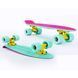 Скейт Пенни Борд Penny My Go Fish Skateboards Mint 22 00016355 фото 7