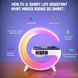 Лампа G11 Smart Light 4в1 з Bluetooth колонкою будильником та бездротовою зарядкою 00022496 фото 4