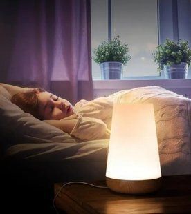 Нічник настільний світильник для дому акумуляторний Pat light HA-114 з пультом 00022497 фото