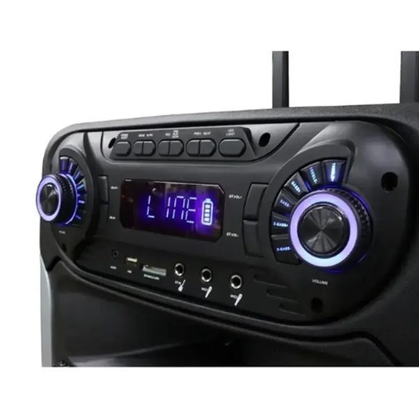 Акустична система ZXX-9393, динаміки 15&rdquo;, 2 радіомікрофони 00017855 фото