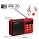 Портативне радіо з акумулятором,Bluetooth,TF/USB,FM, JOC-H011BT-L 00018058 фото 4