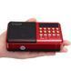 Портативне радіо з акумулятором,Bluetooth,TF/USB,FM, JOC-H011BT-L 00018058 фото 3