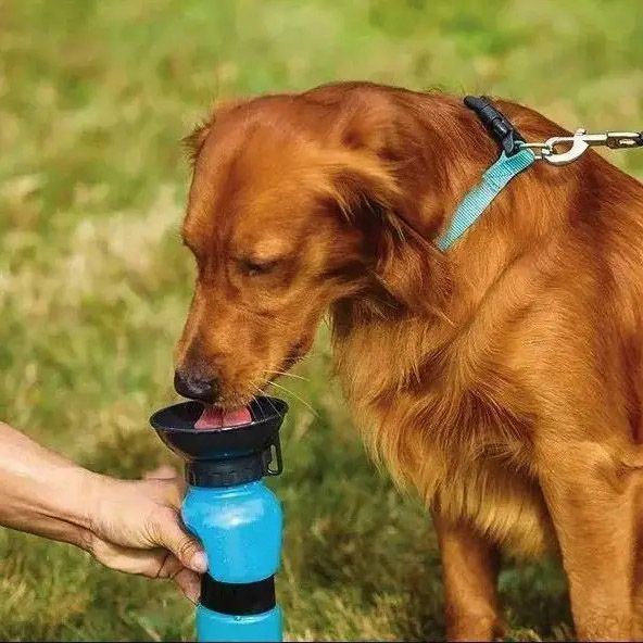 Поїлка для собак дорожня переносна Aqua Dog 537 мл портативна пляшка для великих та дрібних собак FS-97 00021879 фото