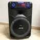 Профессиональная аккумуляторная акустическая система ZXX-1011 800 Вт 15" со светомузыкой и микрофонами 00017707 фото 9