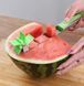 Приспособления для нарезки арбуза и дыни SUNROZ Watermelon Slicer чем-слайсер Зеленый 00024405 фото 1