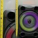 Беспроводная караоке колонка с микрофоном и RGB-подсветкой Sing-e ZQS8148 00024459 фото 4