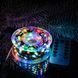 Гирлянда на катушке Роса 50 м,500 LED с пультом Мультик 00024908 фото 2