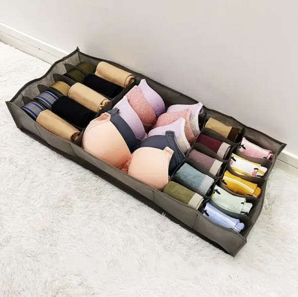 Органайзер для нижнего белья Storage box LY-560 00012787 фото