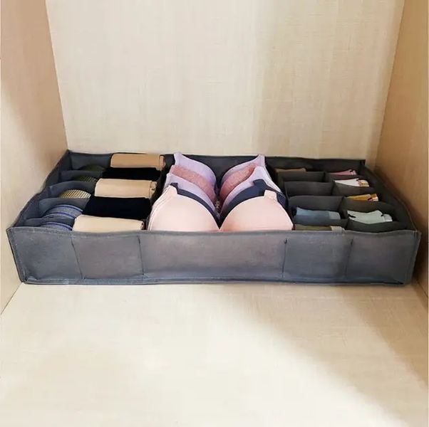 Органайзер для нижнего белья Storage box LY-560 00012787 фото