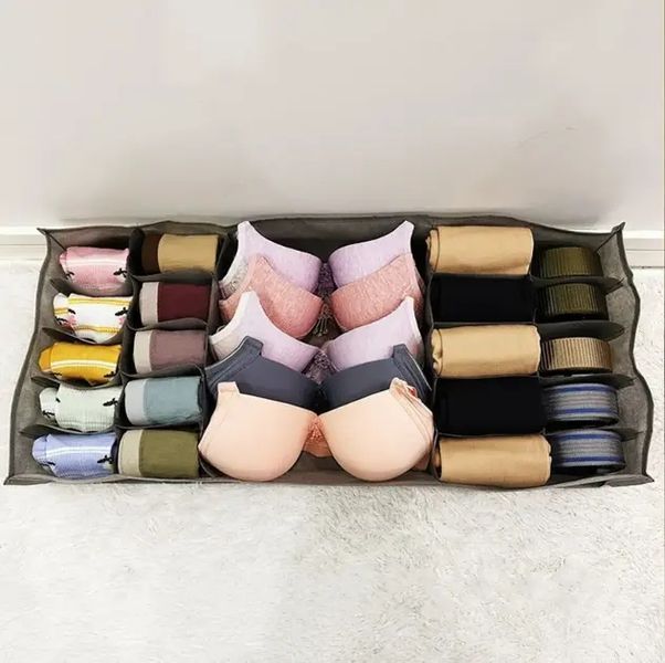 Органайзер для нижнего белья Storage box LY-560 00012787 фото