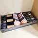 Органайзер для нижнего белья Storage box LY-560 00012787 фото 1