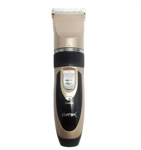 Професійна акумуляторна машинка для стрижки GEMEI GM-6066 00021667 фото