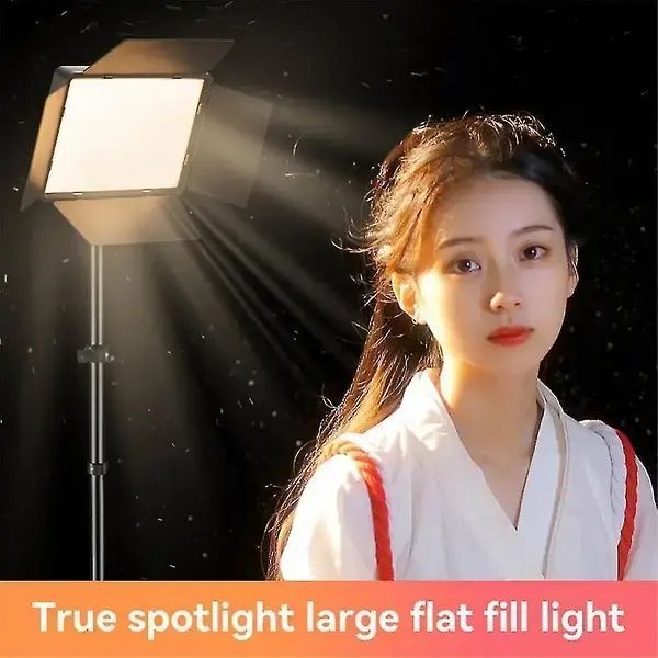 Світлодіодна лампа відеосвітла Camera light RL-900 з пультом 3000k-6500k 00023699 фото